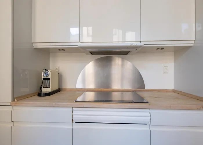 Large Apartment With Canal View In Central Cph City